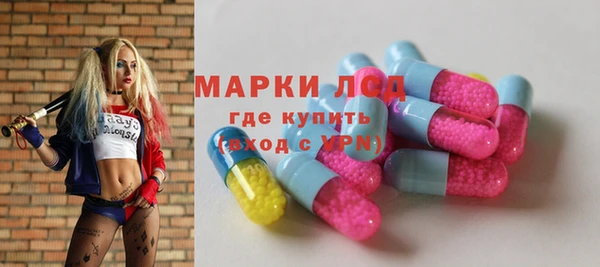трава Осинники