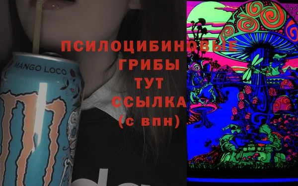 крисы Абинск